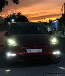 تسلا موديل Y